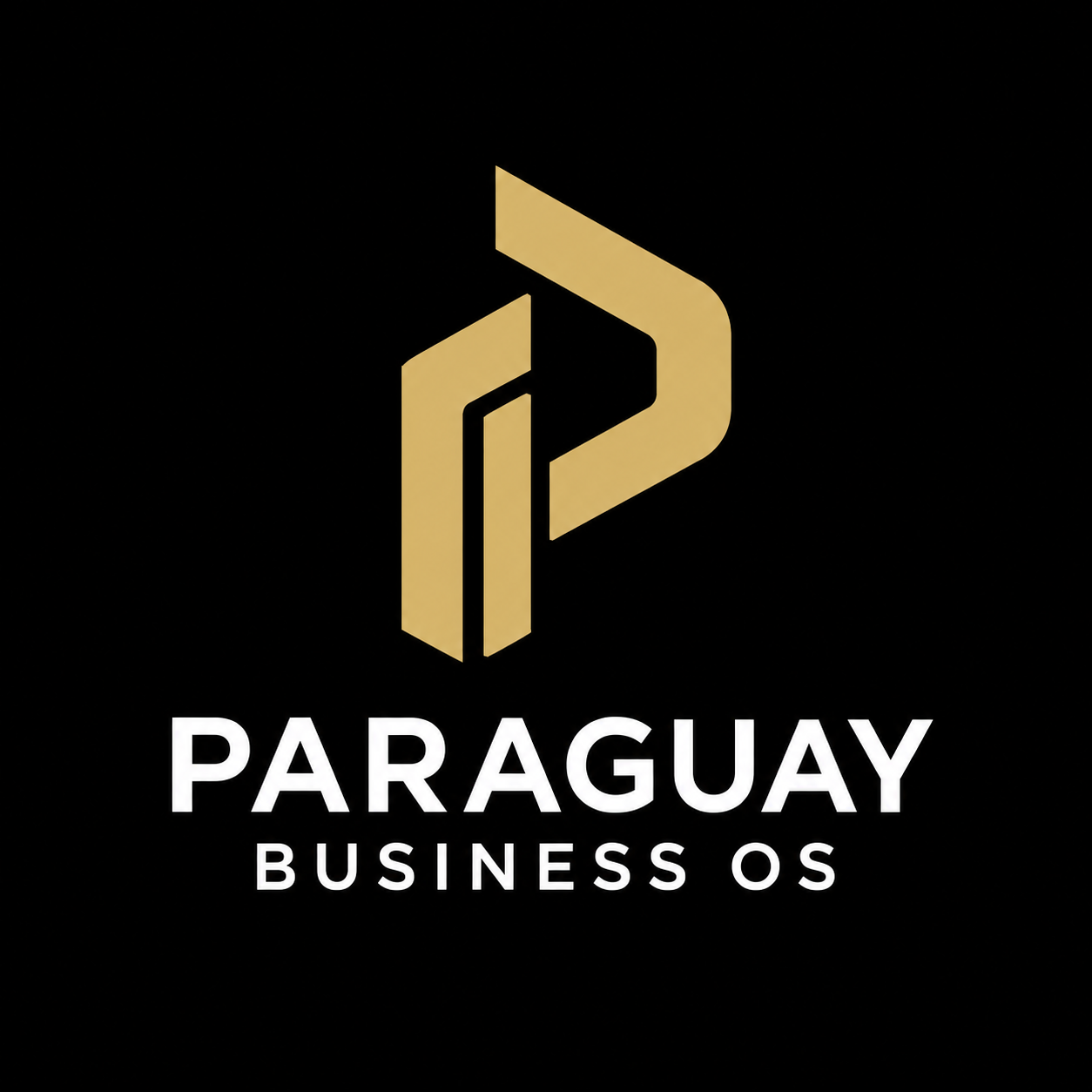 Paraguay Business OS